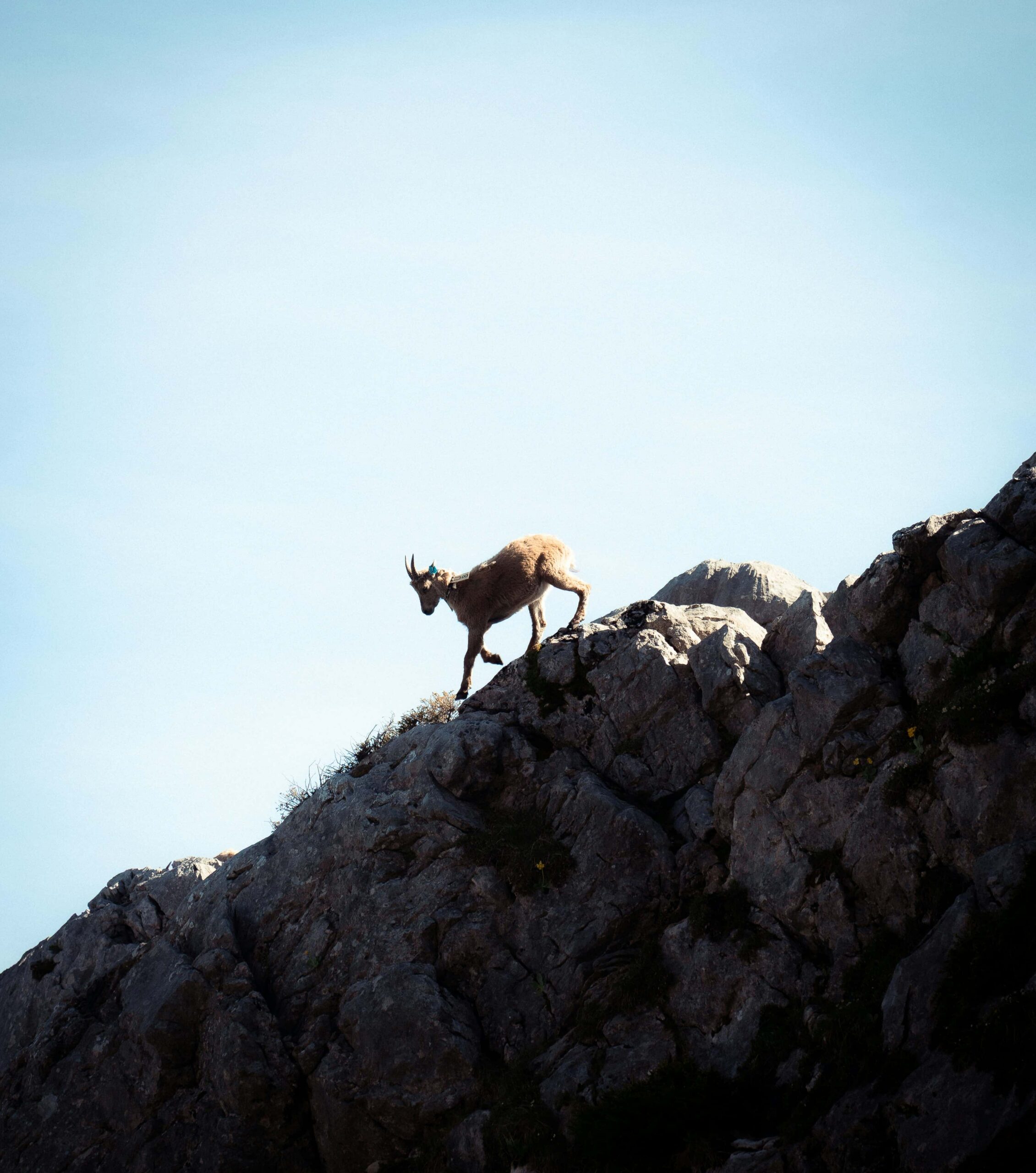 gabin cobret bP vzxSVvm0 unsplash scaled